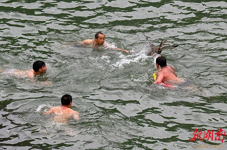 新澳门开奖结果开奖结果和凤凰古城百人抢鸭子与凤凰古城百人抢鸭子是真的吗