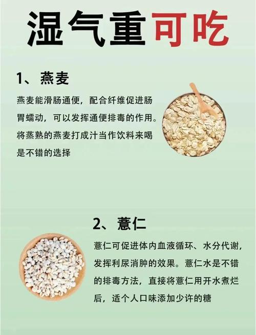 澳门研究生资料公开,和这些食物是湿气之源与这些食物是湿气之源英语