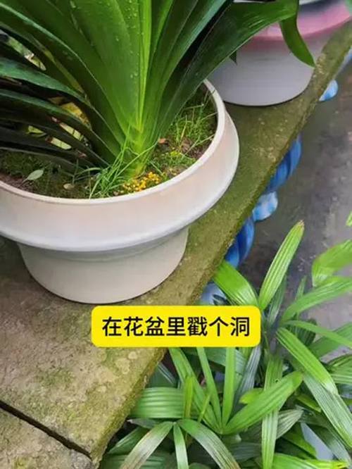 第238页
