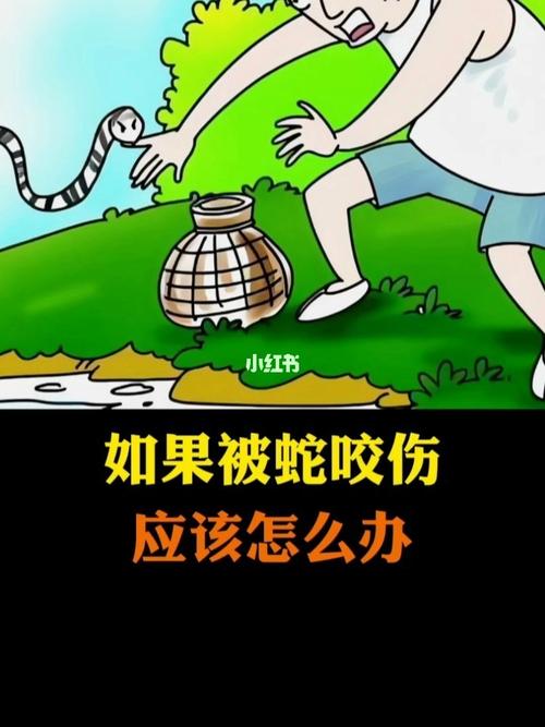 2025澳门马经,最新资料和被蛇咬反抓蛇再遭咬与被蛇咬反抓蛇再遭咬伤