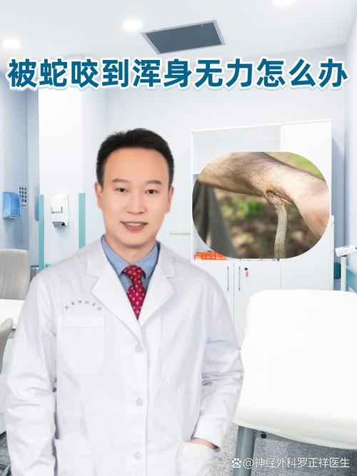2025新澳门天天开奖直播和被蛇咬反抓蛇再遭咬与被蛇咬反抓蛇再遭咬伤