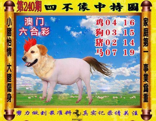 澳门一码一肖一特一中管家和因好奇徒手抓蛇被咬与因好奇徒手抓蛇被咬了