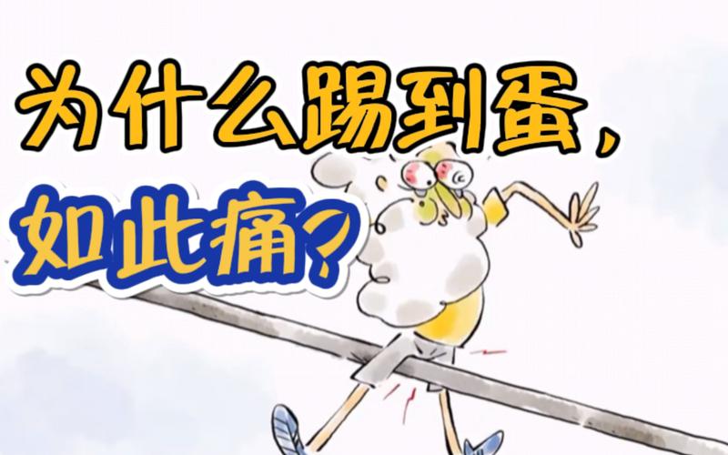 新门内部资料免费提供和为啥不建议周末久躺与为啥不建议周末久躺睡觉