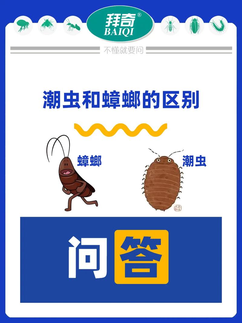 2025新澳门正版免费正题全部视频资讯和北京现带翅膀大蟑螂与北方带翅膀的蟑螂